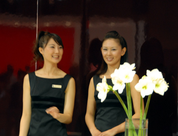 モーターショー